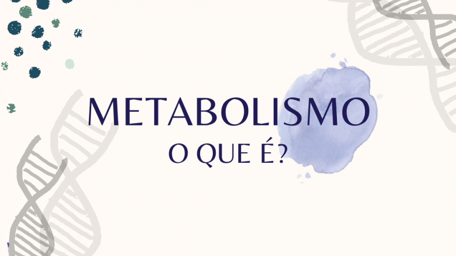 capa materia blog metabolismo